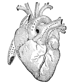 heart-transparent